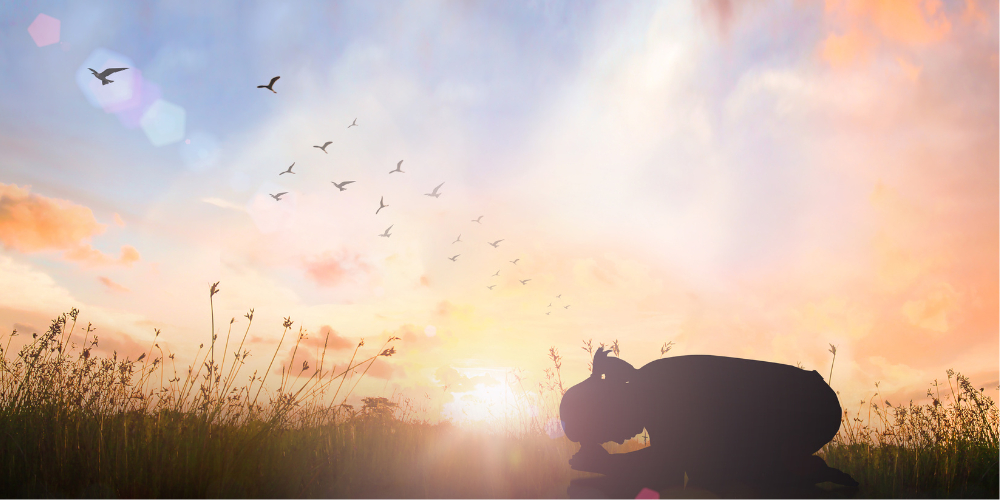 FINDING STRENGTH IN TOUGH TIMES: TRUSTING GOD TO CARRY US THROUGH