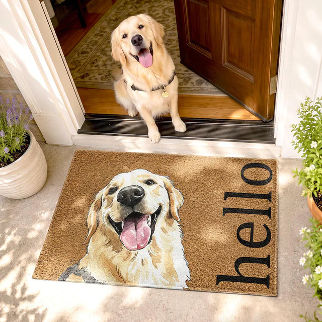 Floor & Rugs