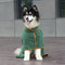 Pet Clothing & Accessories