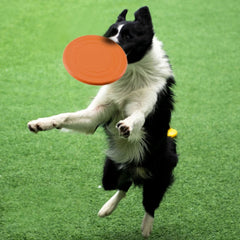 Collection image for: Pet Supplies