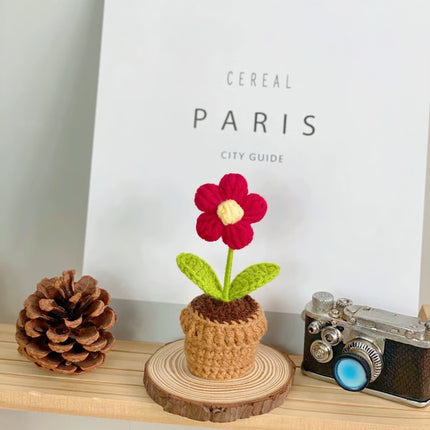 Handmade Knitted Flower Pot, Red Heart Shaped Planter, Valentine's Day Gift, Home Desktop Decor