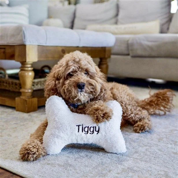 For Pet Parents