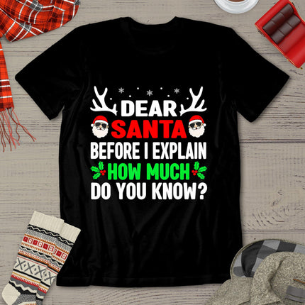 Funny Christmas Shirts Kids Adults Dear Santa I Can Explain T-Shirt