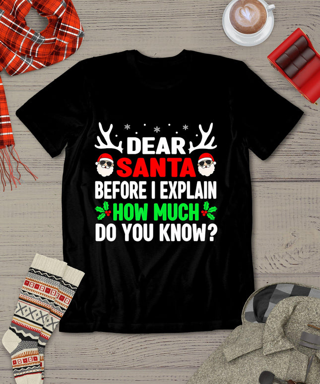 Funny Christmas Shirts Kids Adults Dear Santa I Can Explain T-Shirt