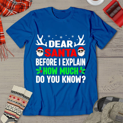 Funny Christmas Shirts Kids Adults Dear Santa I Can Explain T-Shirt
