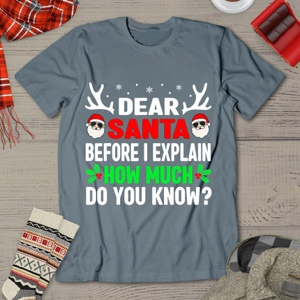 Funny Christmas Shirts Kids Adults Dear Santa I Can Explain T-Shirt
