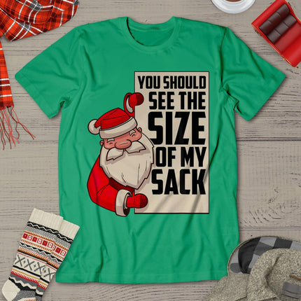 You Should See The Size Of My Sack Funny Santa Christmas T-Shirt