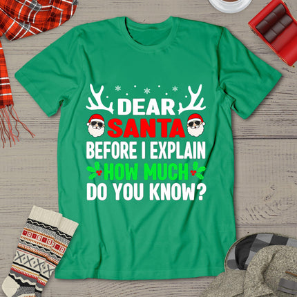 Funny Christmas Shirts Kids Adults Dear Santa I Can Explain T-Shirt