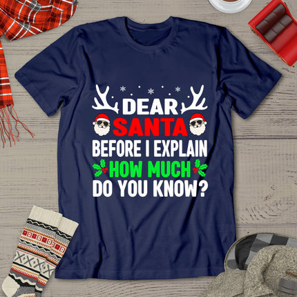 Funny Christmas Shirts Kids Adults Dear Santa I Can Explain T-Shirt