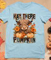 Hay There Pumkin Highland Cow Fall Autumn Thanksgiving T-Shirt