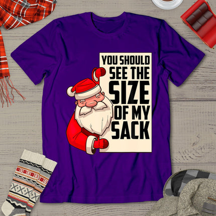 You Should See The Size Of My Sack Funny Santa Christmas T-Shirt