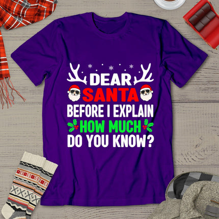 Funny Christmas Shirts Kids Adults Dear Santa I Can Explain T-Shirt