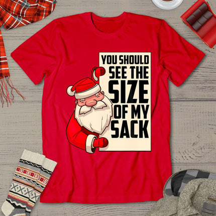 You Should See The Size Of My Sack Funny Santa Christmas T-Shirt